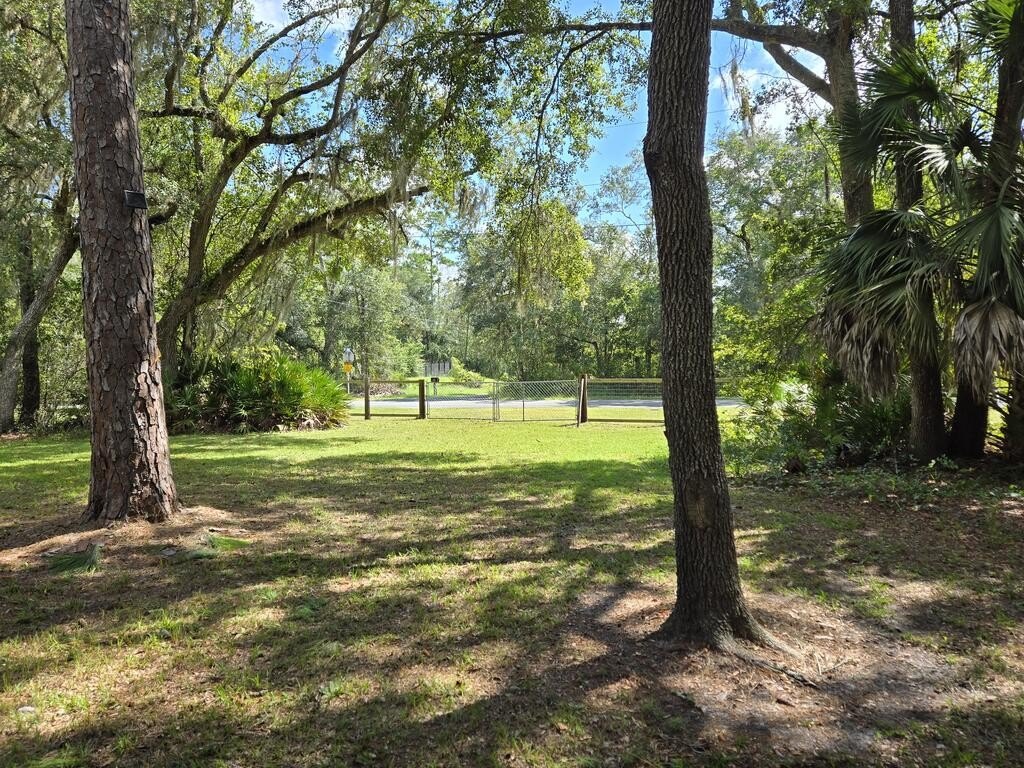 Picture 13