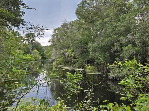 Land, Old Town, FL