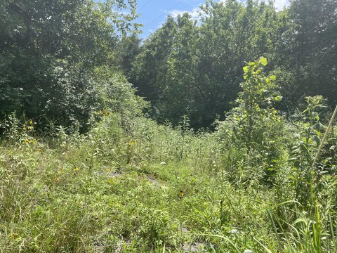 3.4 Acres Wooded Land Frankfort