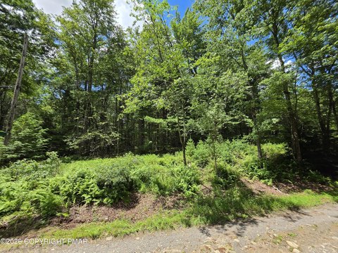 LAND - Blakeslee, PA