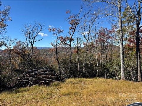 Unrestricted Land Near Pisgah Forest