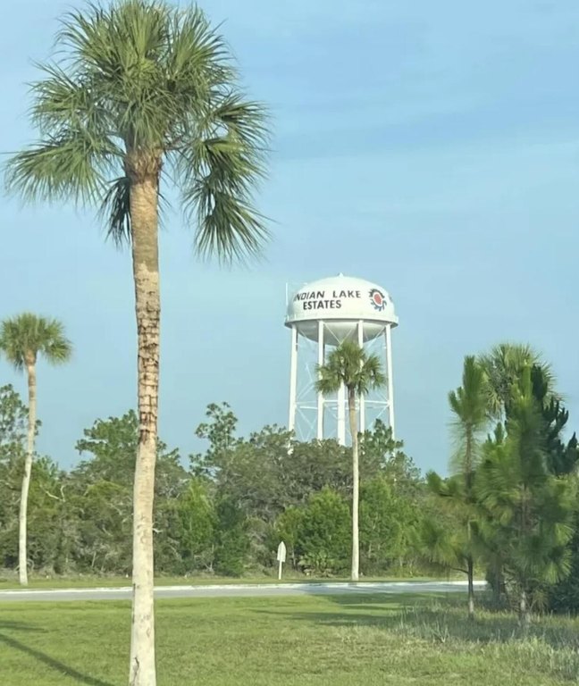 Picture 21