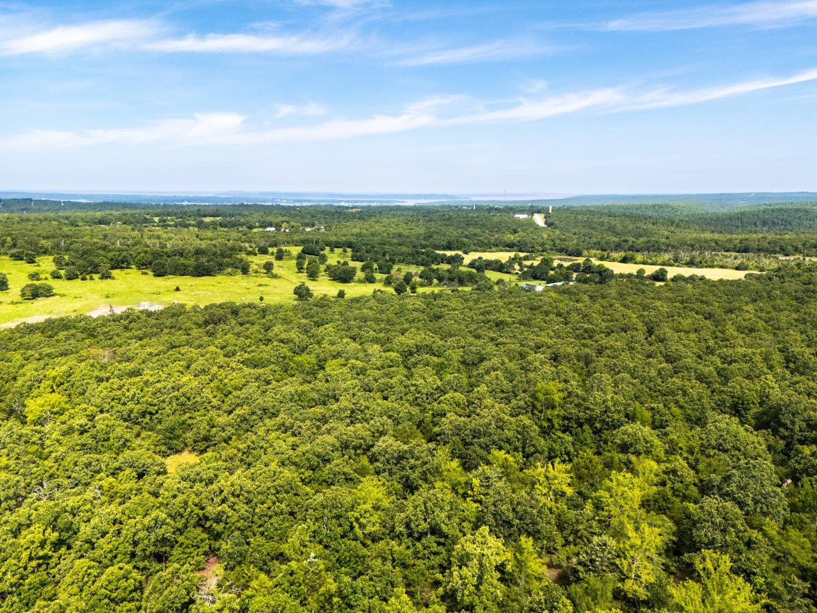 Manageable Timbered Tract Homesite Potential