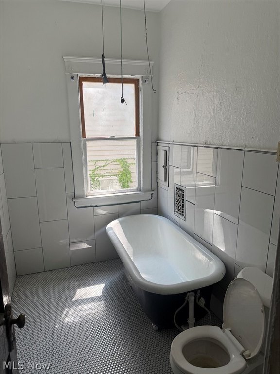 Picture 29