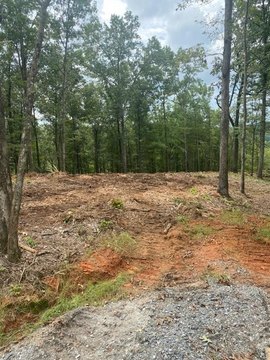 LAND - Ellijay, GA