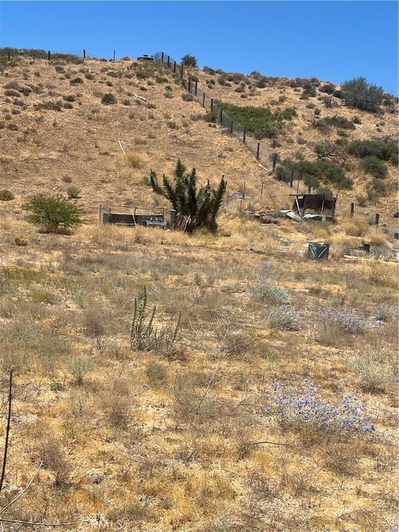 Picture 2