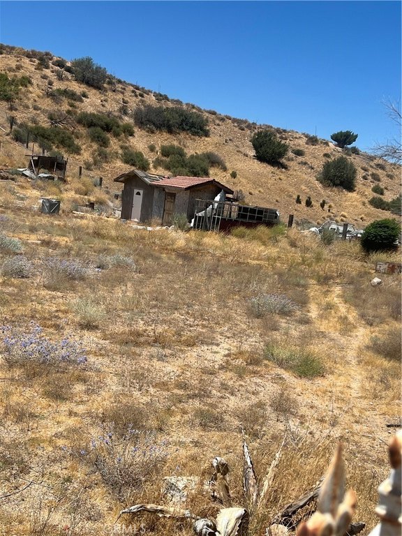 Picture 5