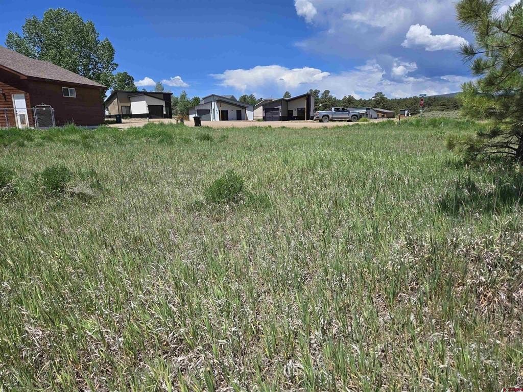 Picture 6