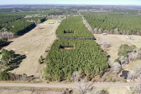 26.17 Acres in Morton, MS