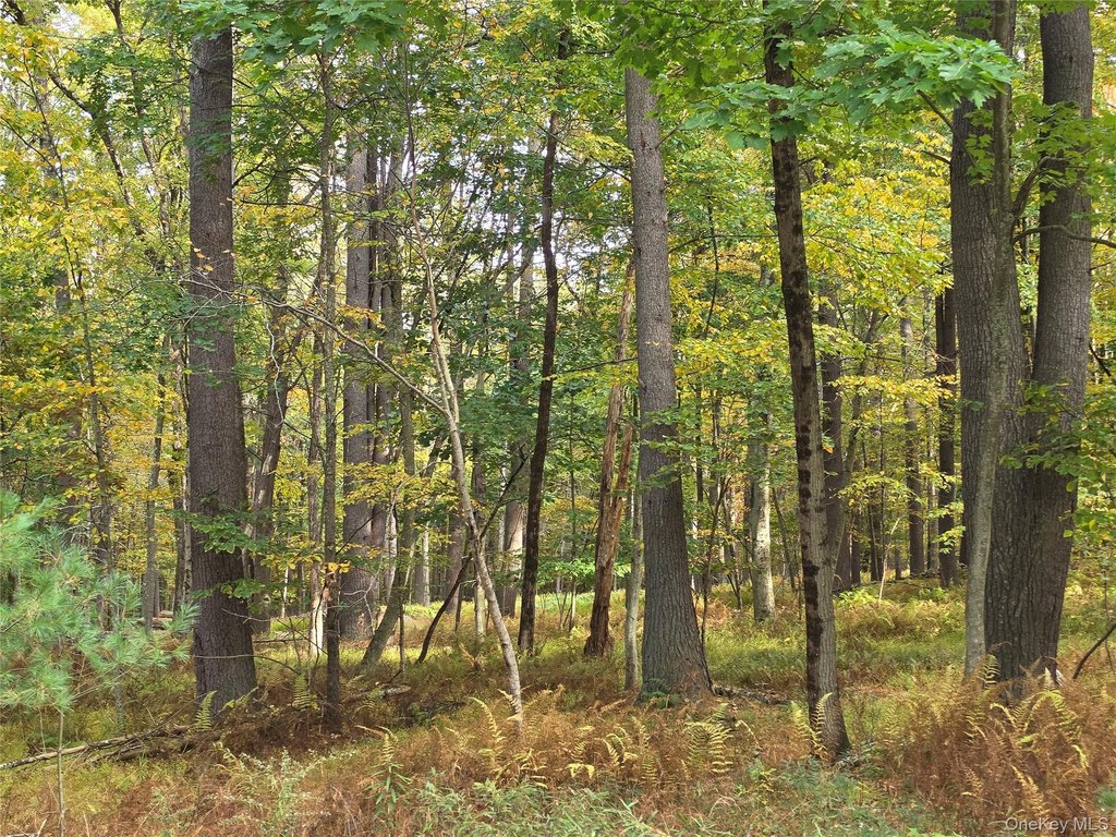 Picture 30