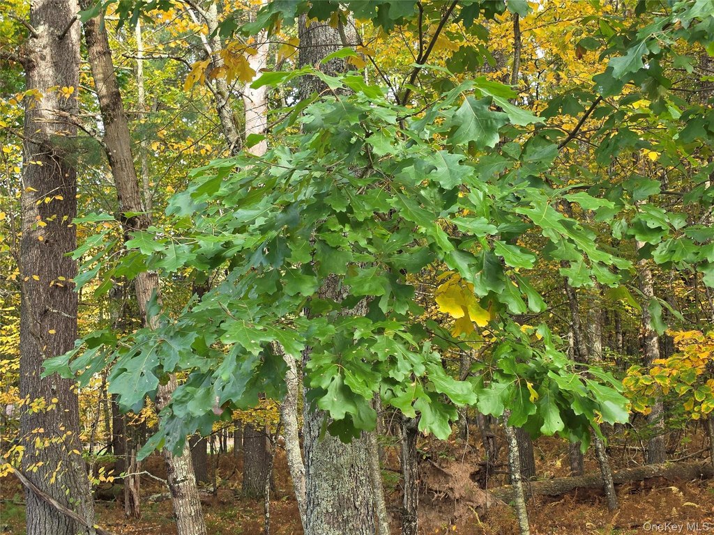 Picture 16