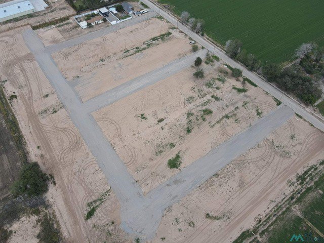 Picture 4