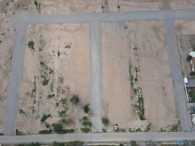 Picture 6