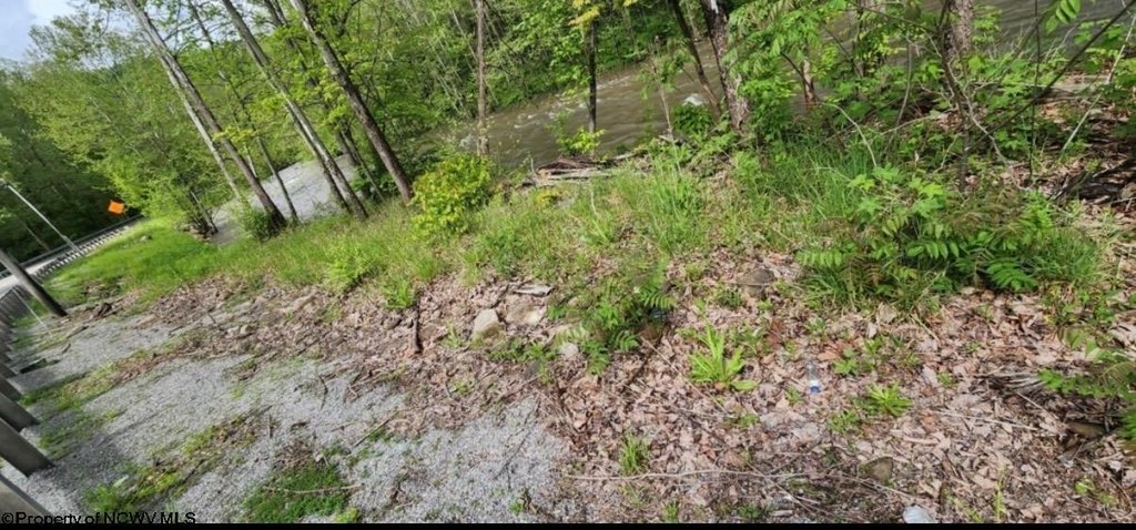 Picture 12