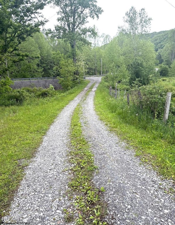 Picture 9