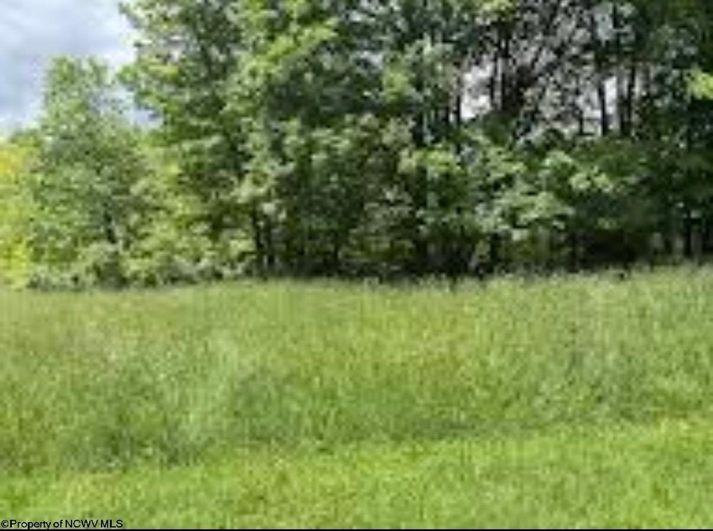 Picture 5