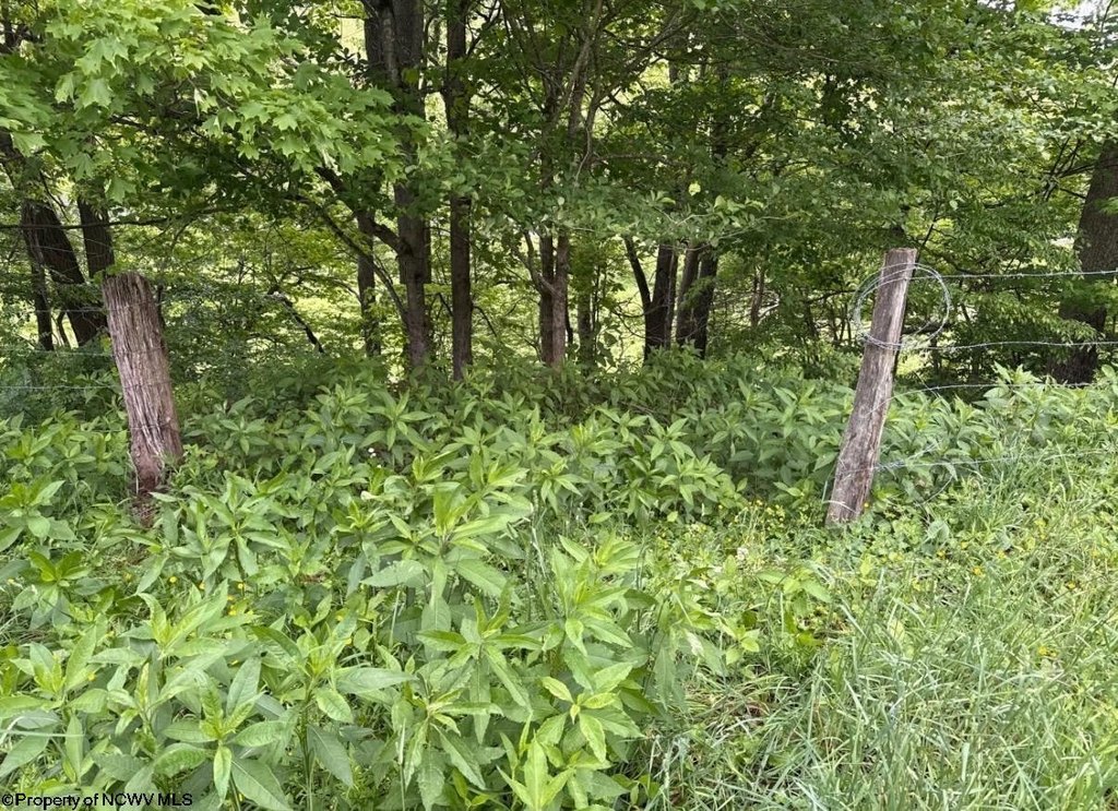 Picture 6