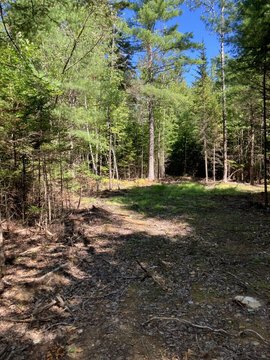 Land, Lincolnville, ME
