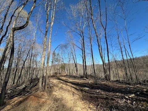 Tennessee Land with Lake Views