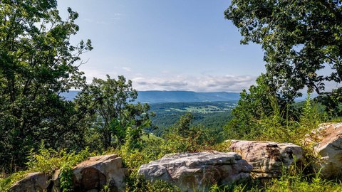 Hunting Land with Woodlands and Creek