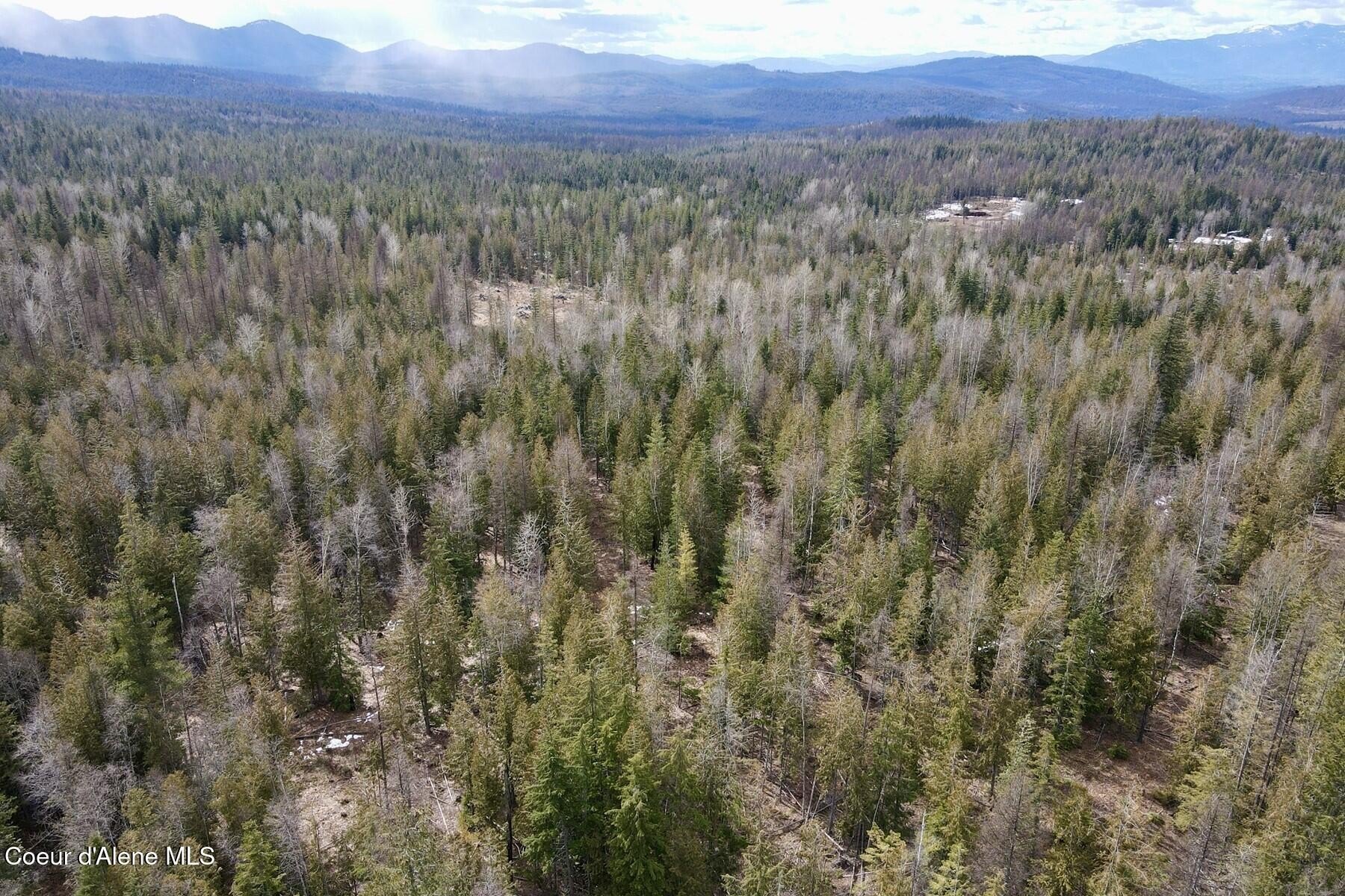 Secluded Off-Grid Land Parcel