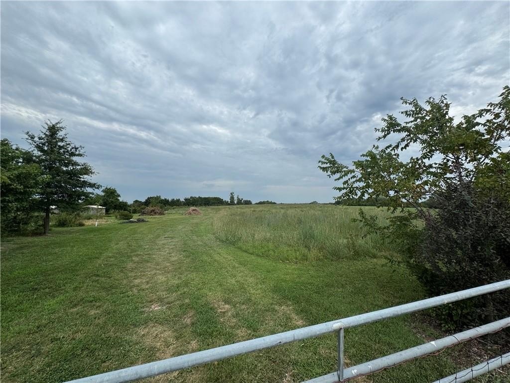 Picture 7