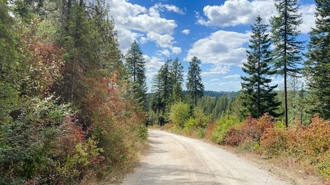 LAND - Chattaroy, WA