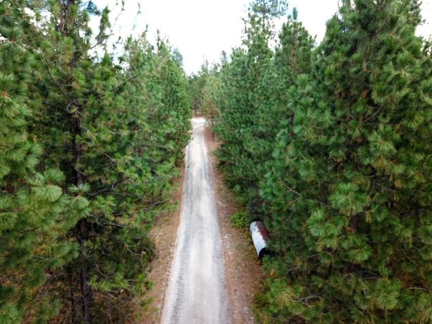 Picture 3
