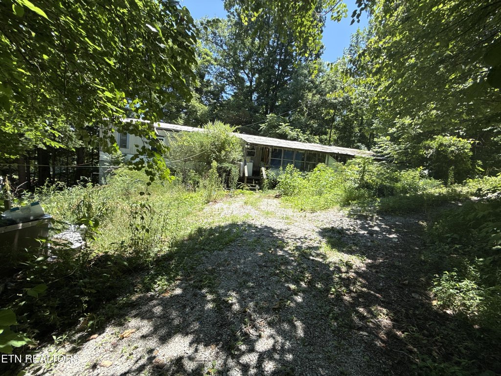 Picture 4