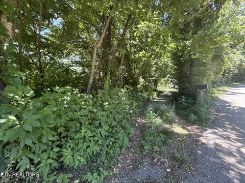 Lots & Acreage, Caryville, TN