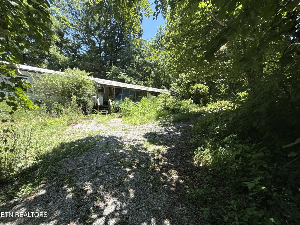 Picture 5