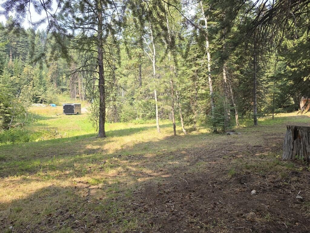 Picture 3