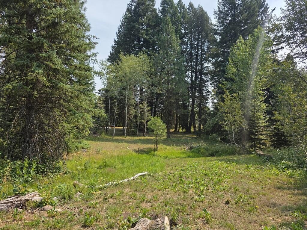 Picture 37
