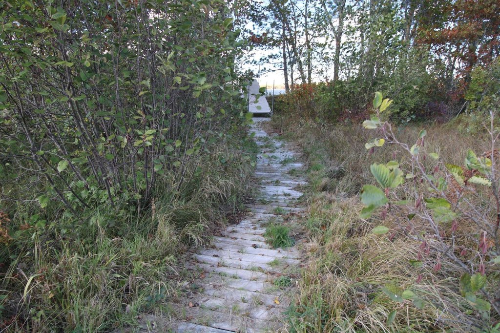 Picture 9
