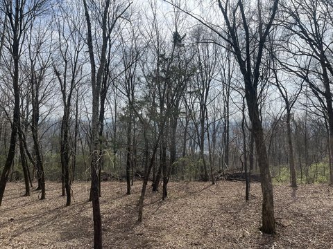 Signal Mountain Land for Custom Home