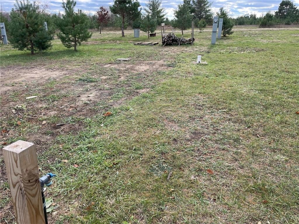 Picture 21