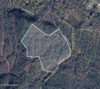 Lots & Acreage, Cosby, TN