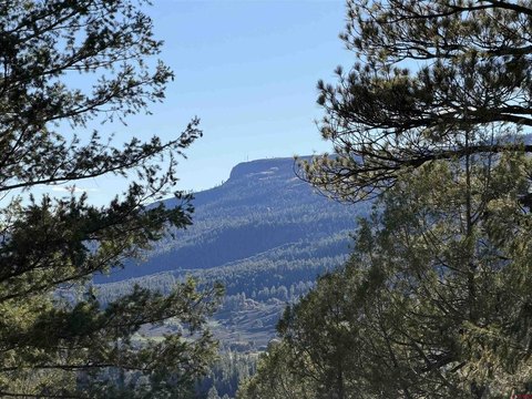 LAND, Pagosa Springs, CO
