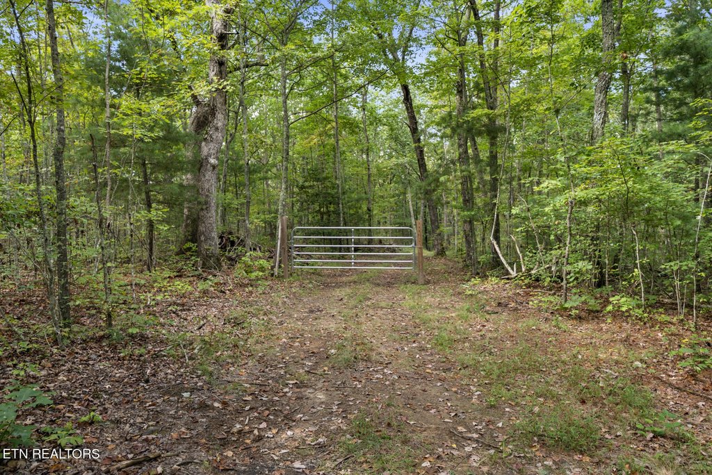 Picture 5