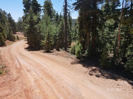 Picture 21
