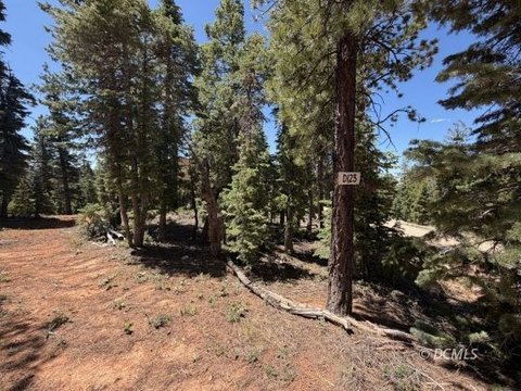 Wooded Corner Residential Lot