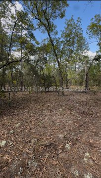 Ocala Residential Vacant Lot