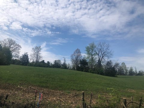 7.42 Acre Residential Land Tract