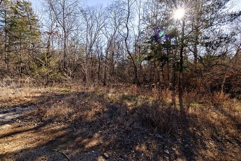 Land For Sale, Merriam Woods