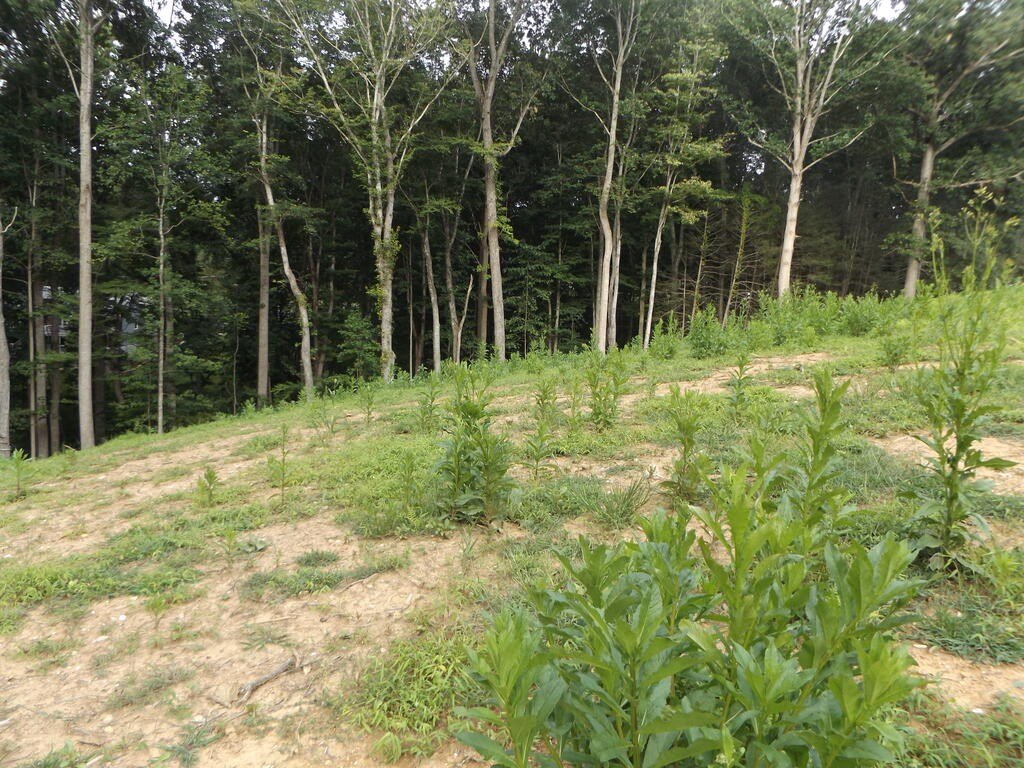 Picture 4