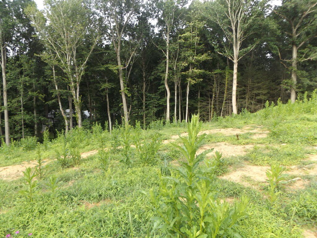 Picture 2