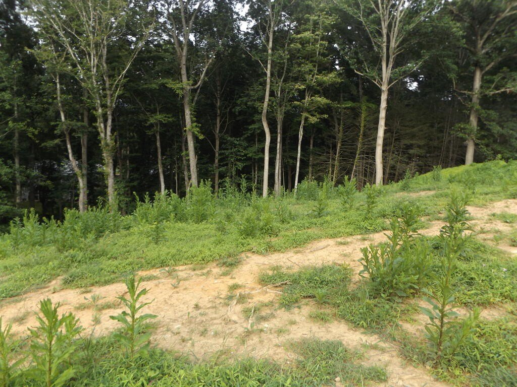 Picture 3