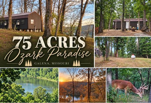 Wooded Hunting Land With Cabin