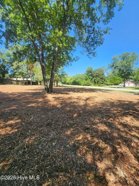 Picture 7