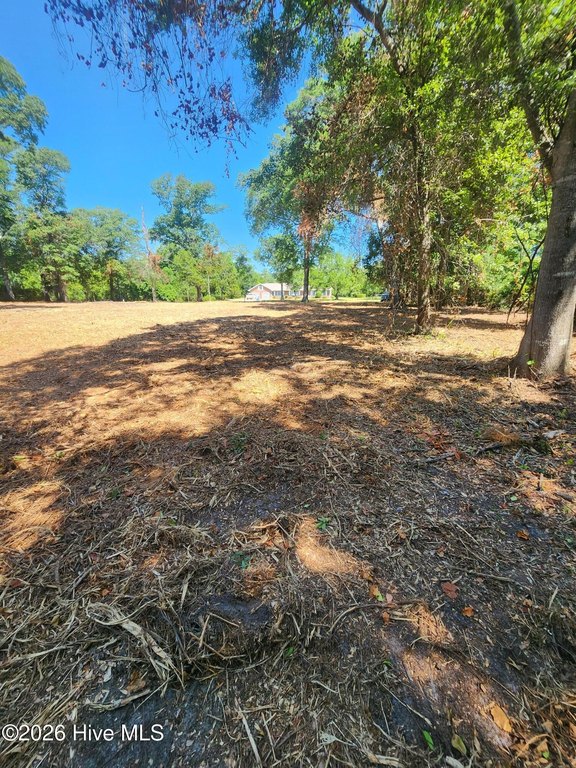 Picture 10